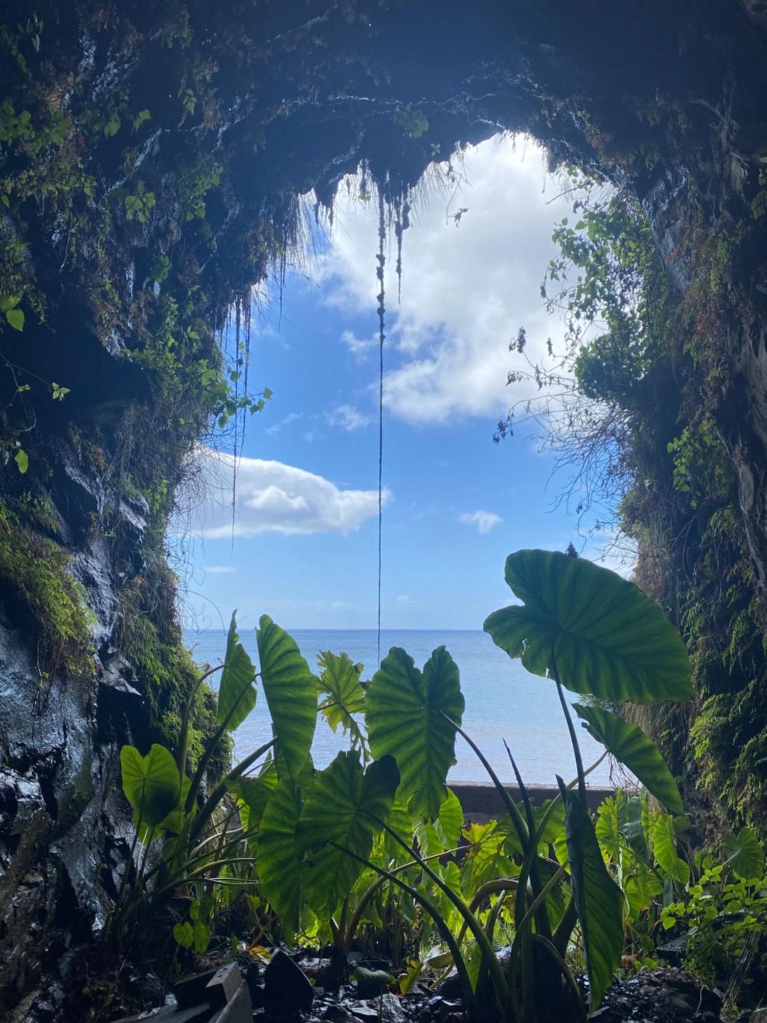 Vista Azul Villa Arco da Calheta  Eksteriør bilde